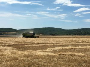 agriculture