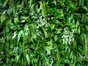 mur vegetal